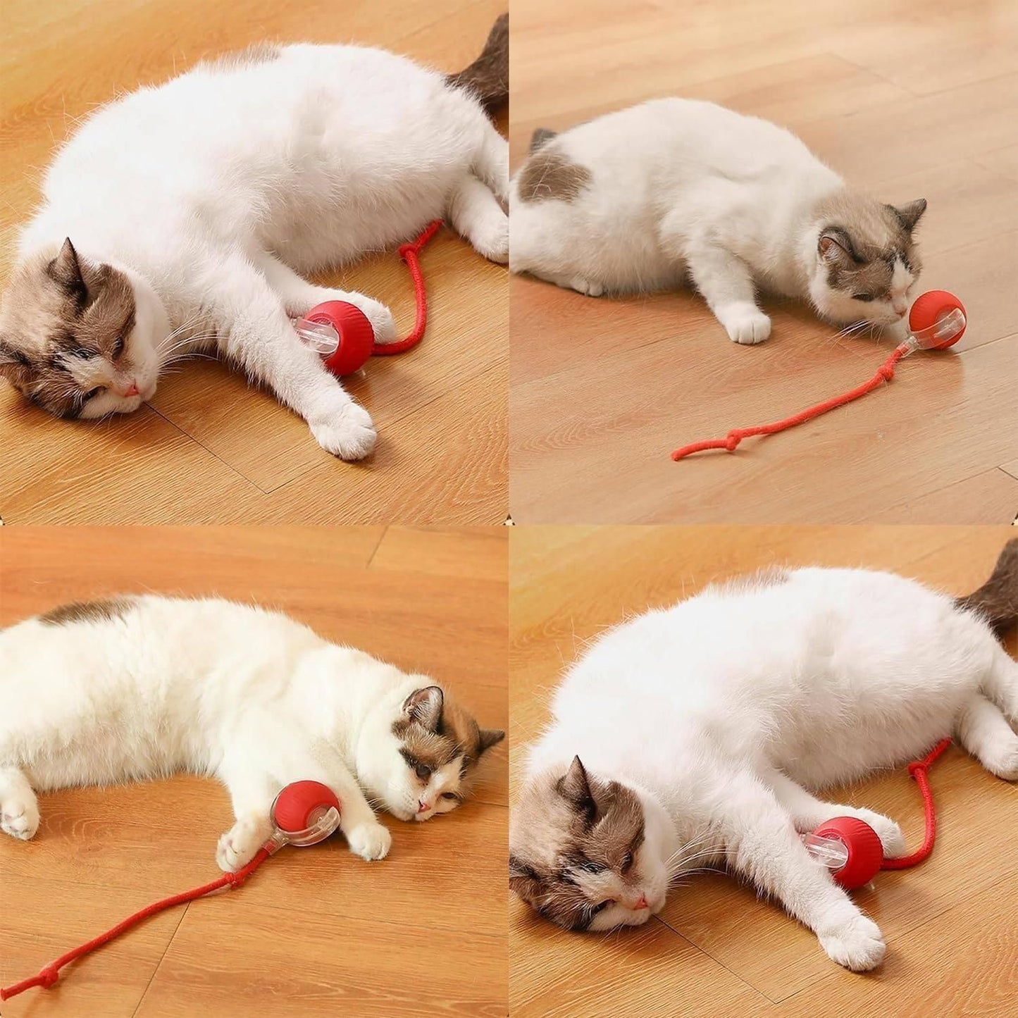 Interactive Cat Ball with Tail™