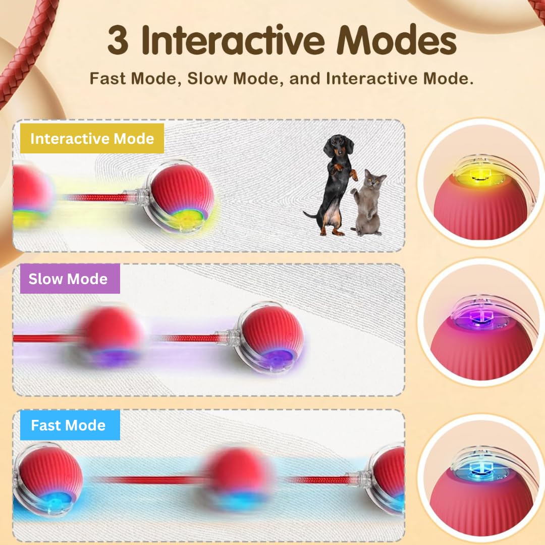 Interactive Cat Ball with Tail™